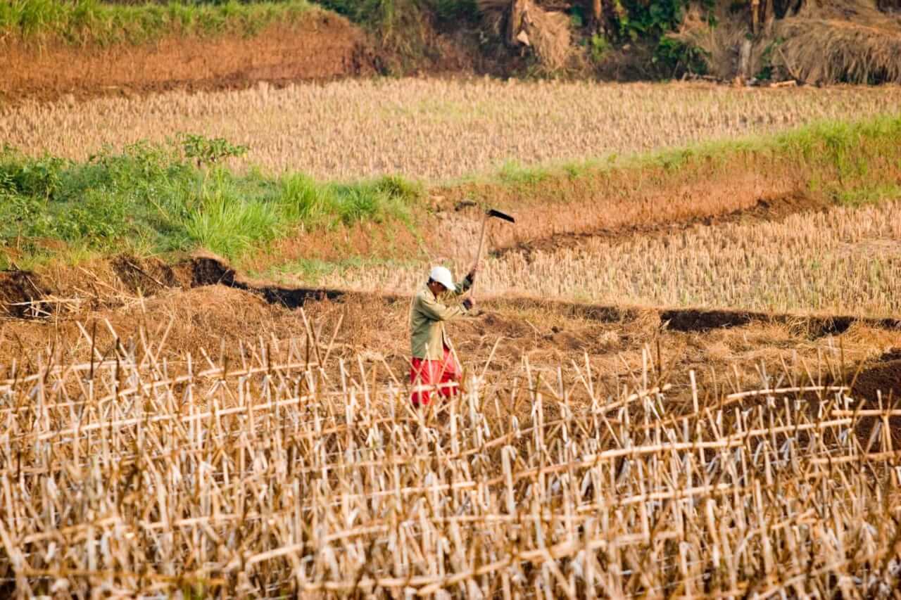 Impact Of Climate Change In India Agriculture