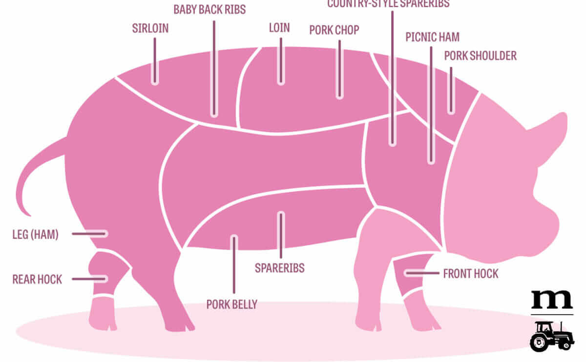 pork_101_final_b