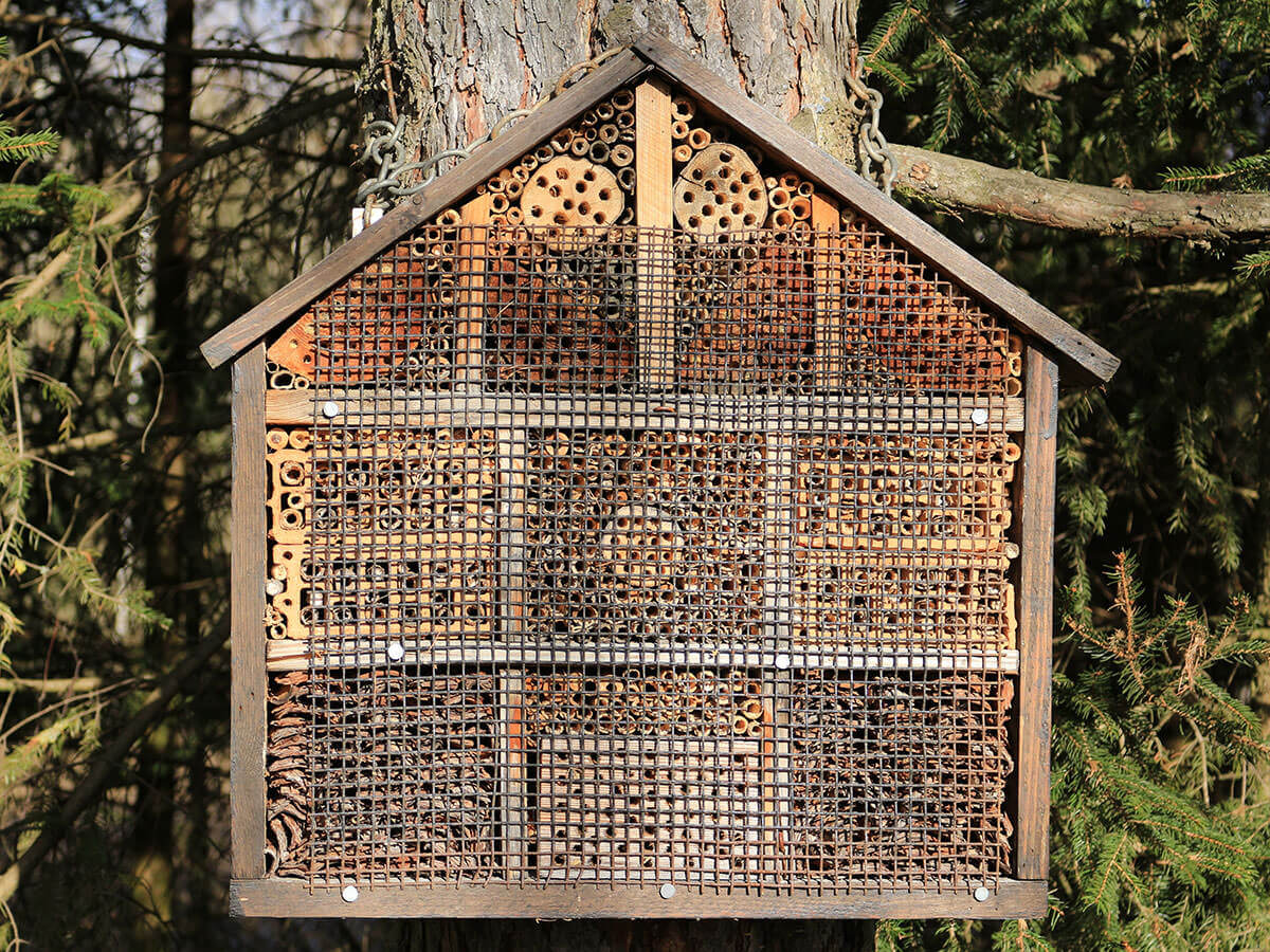 How To Build A Native Bee Hotel Modern Farmer