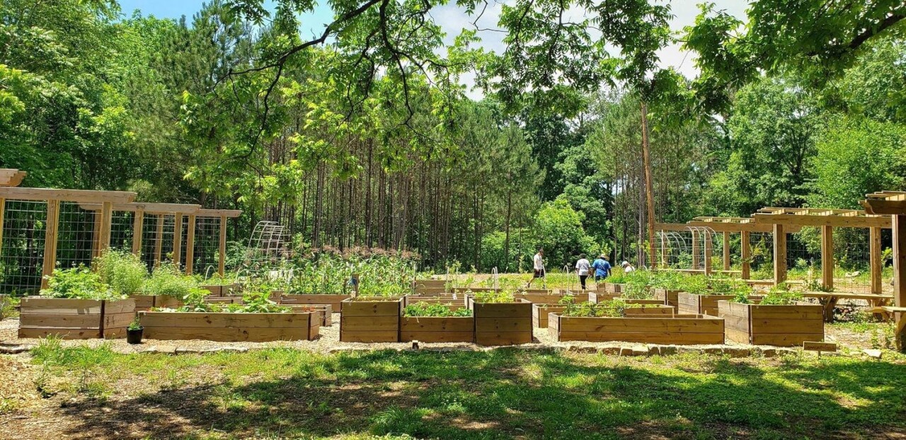 Atlanta Has Created The Largest Free Food Forest In The Country