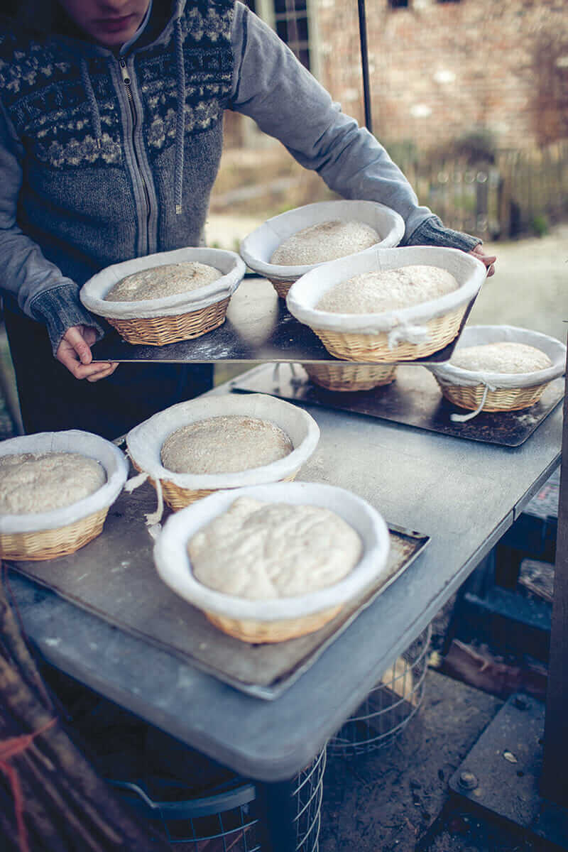 Bread dough, set out to rise.