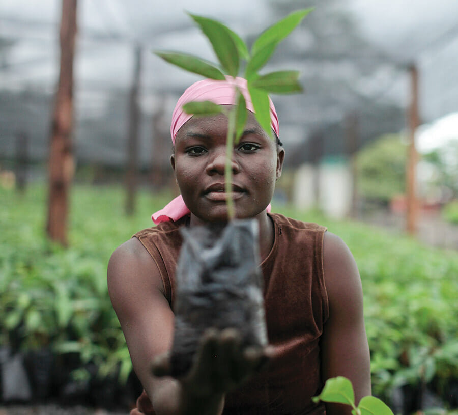 Malawi grower