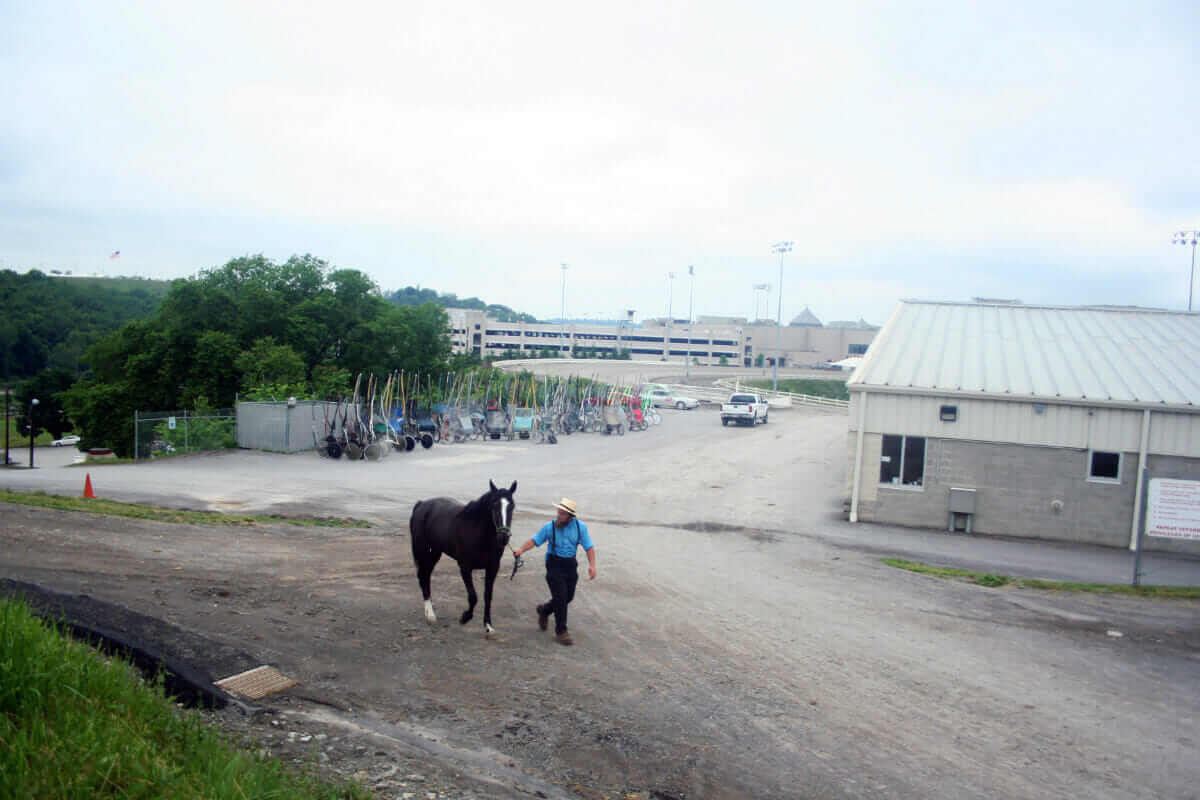 The track is quiet, the carts (called 'racing bikes') are parked for the day, and Brenneman leads Nuclear Autumn  -  one of the five horses he bought in one day  -  away from racing stables for the last time.