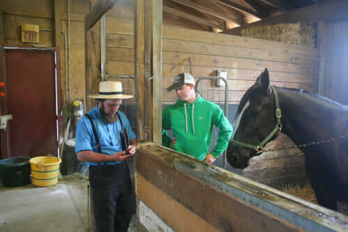 Brenneman talks shop in the shower stalls, where the horses get cleaned up after the races.