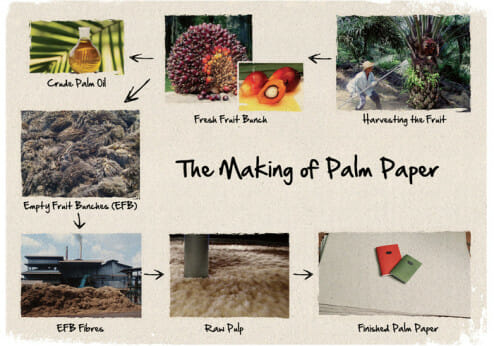 Palm oil waste paper
