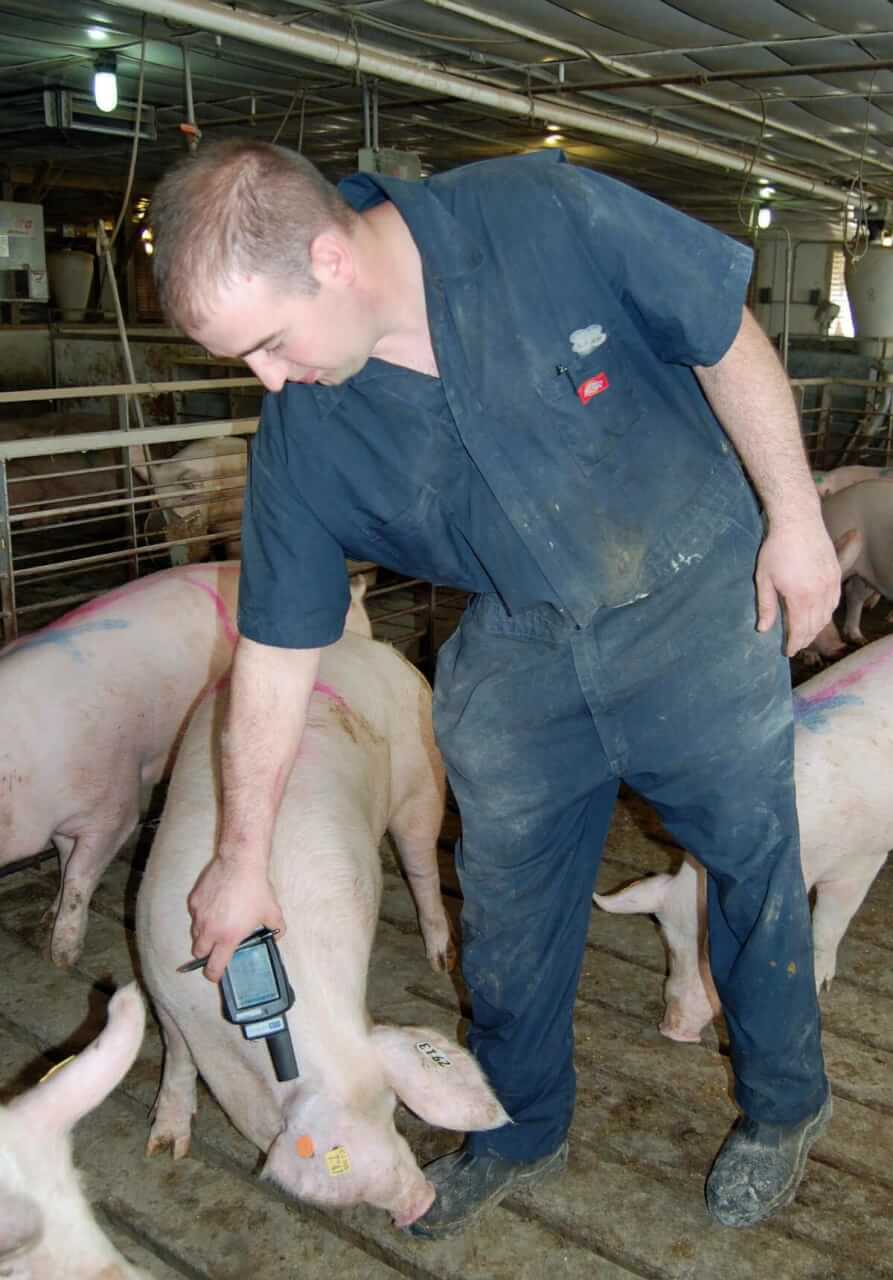 A farmer using the  identification technology