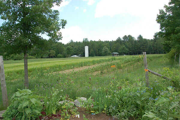 Farmland at MOFGA