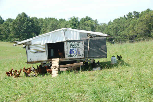 Chicken coop at Two Coves Farm -- MOFGA-certified -- in Harpswell, ME 