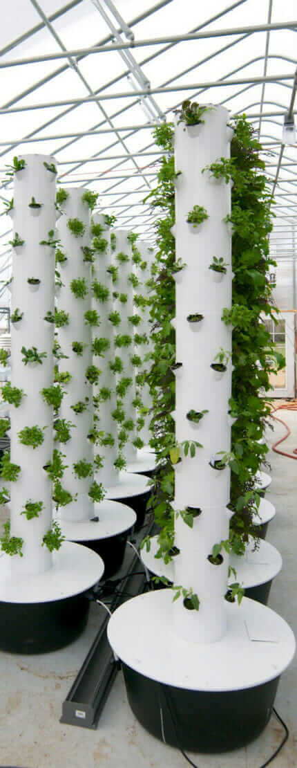 Vertical farm design