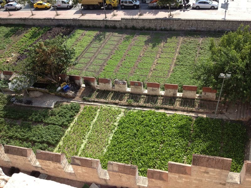 The urban farms, from above. Already some have been bulldozed.