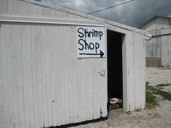 The sign leading the way to the shrimp tank.