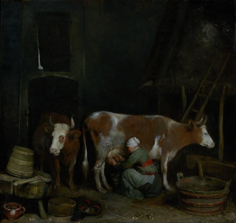 A maid milking a cow in a barn