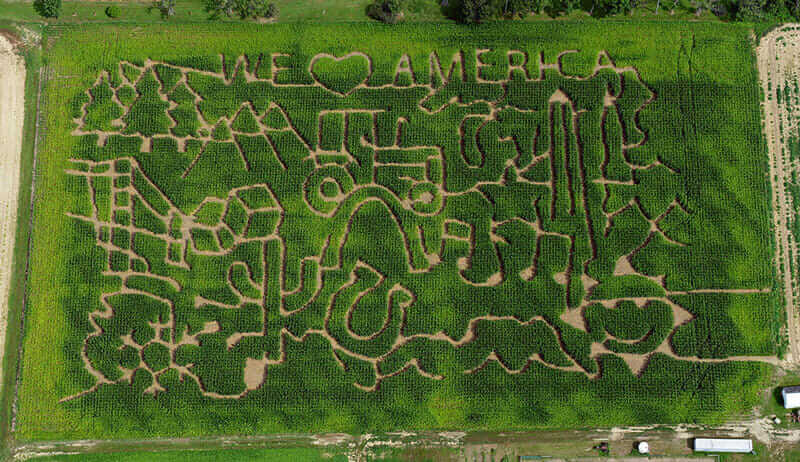 A maze at Beriswell Farms in Valley City, OH. / Beriswill Farms 