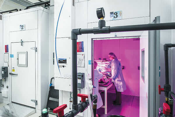 Inside the main Vegetable Production System program testing lab at Kennedy Space Center.