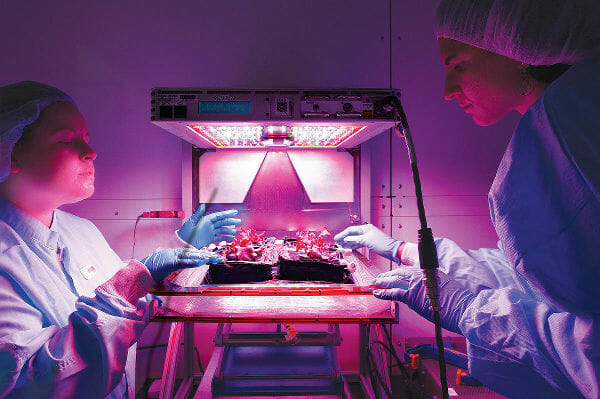 NASA's Nicole Dufour (left) and Gioia Massa perform prelaunch testing<br />
on lettuce sprouts, under LED grow lights.