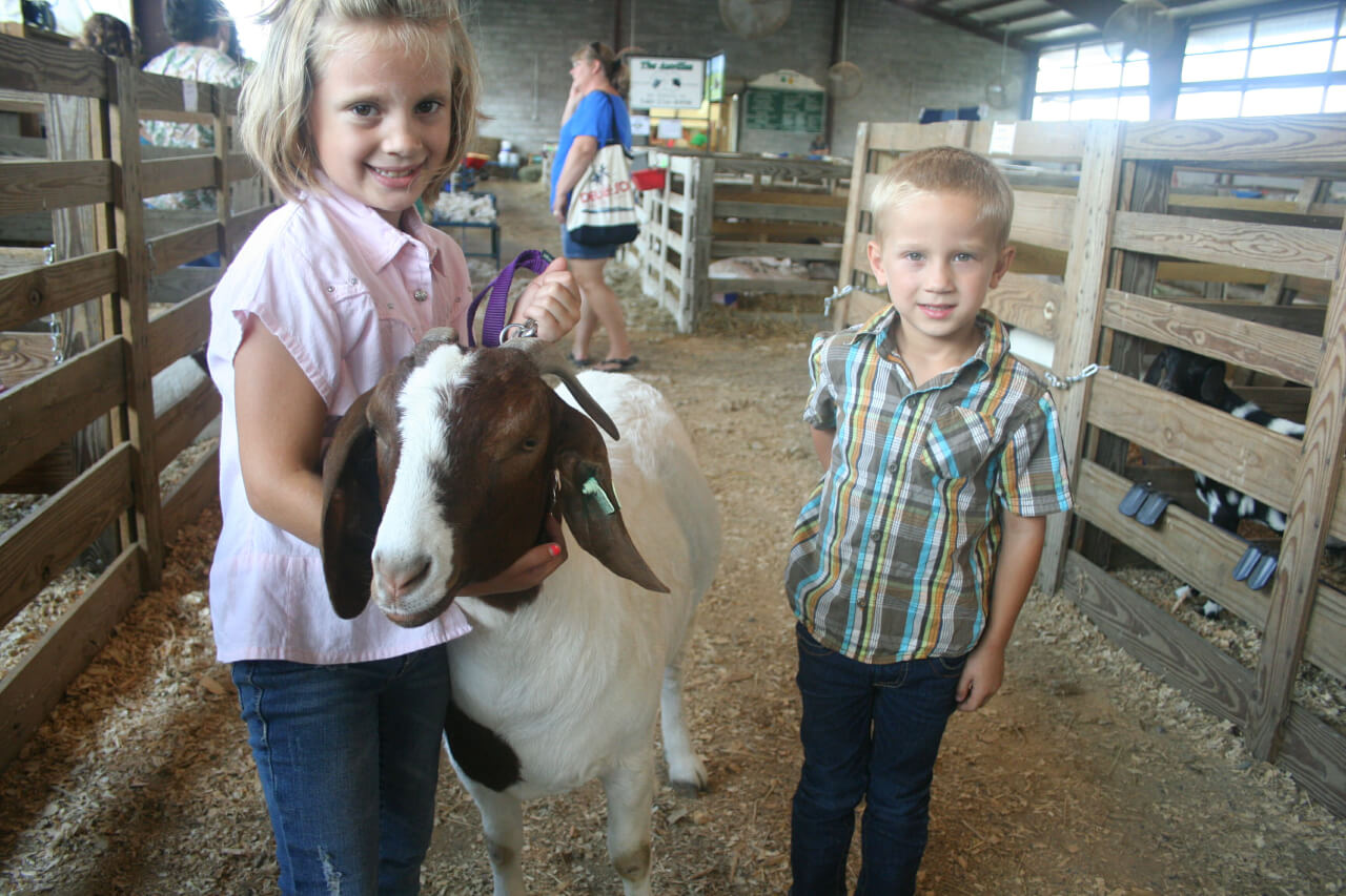 Alexis, 8, and Dillon, 4, Showalter pose with Deer Girl in the sheep and goat barn at the Rockingham County Fairgrounds. Jim Tom, Deer Girl's fair week nemesis, is visible on the right.