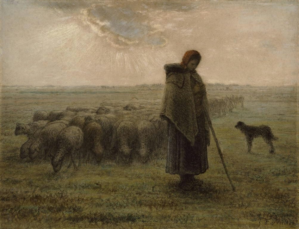 Shepherdess and her flock