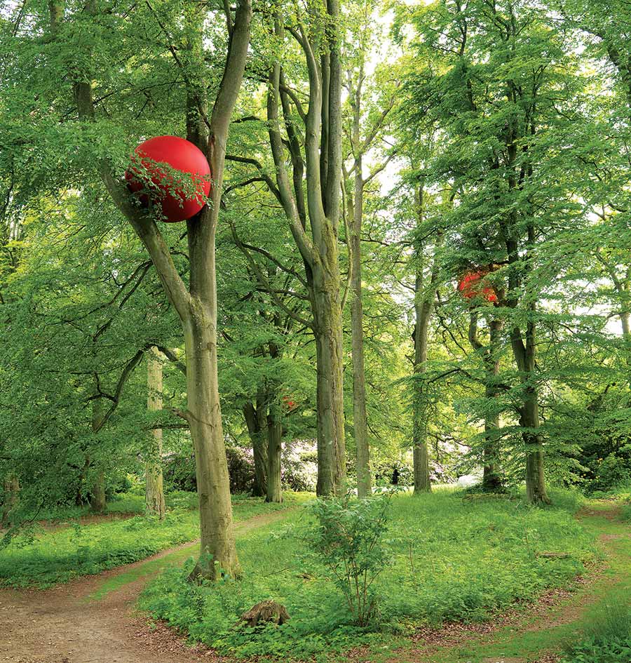 Hiding in trees at WanÁ¥s are Anne Thulin's red balls, called 