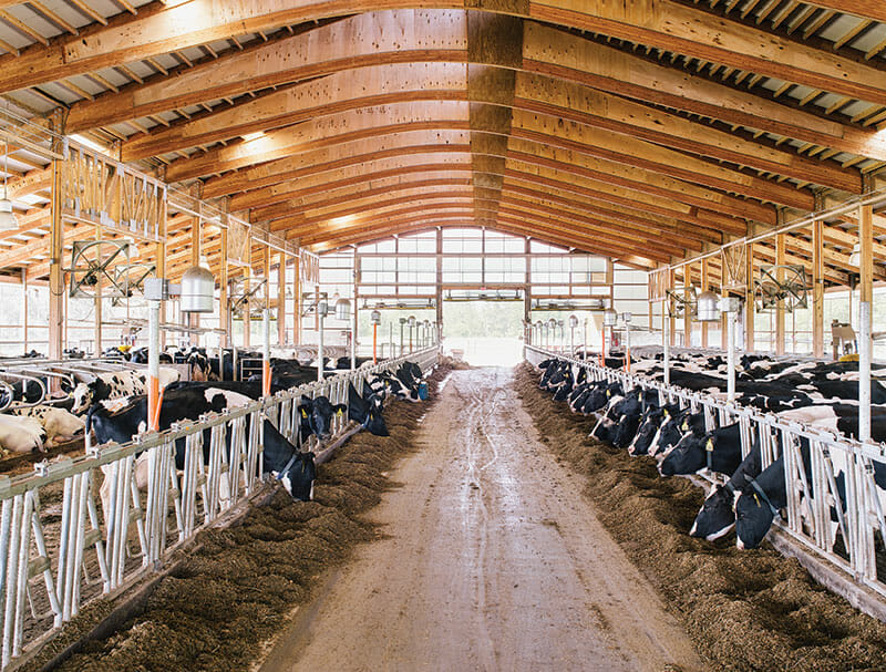 dairy barn design space
