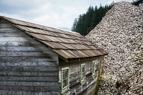 A storage shed is dwarfed by a pile of oyster shells.