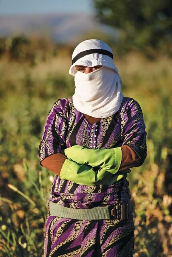 A female farm worker on Abu Ali Al-Hallak's property. Increasingly, whole Syrian families live and farm there.