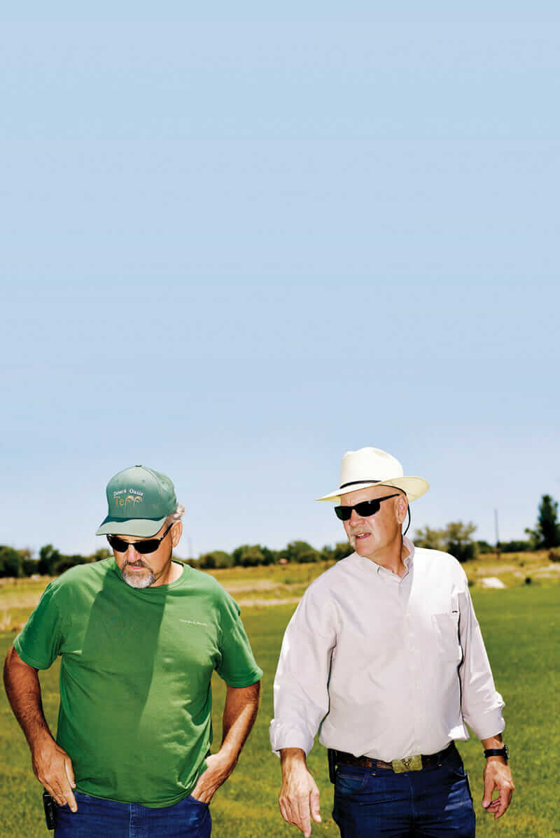 Farmer John Getto (left) and researcher Jay Davison stroll through a teff test field in Nevada.