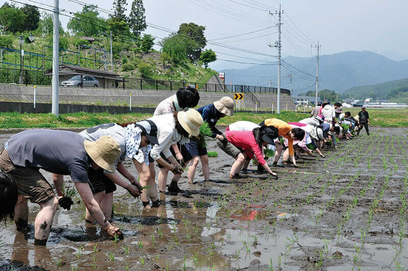 Students try rice planting in Kawaba, Gunma