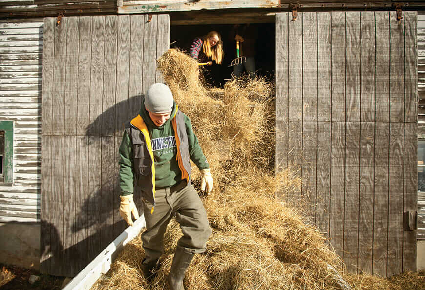 Andrew Harrington collects loose hay; Sarah Habeck milks Patience the cow.