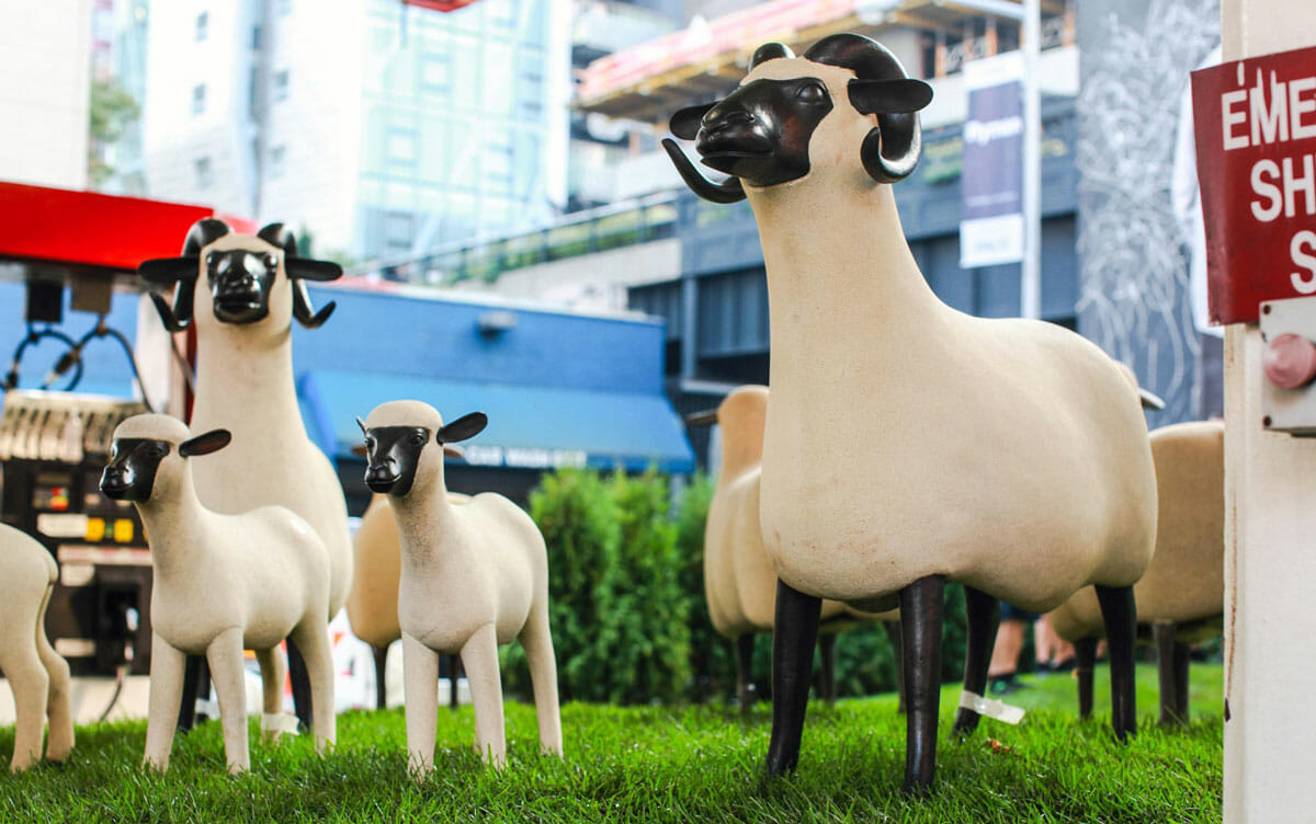sheep-family-1