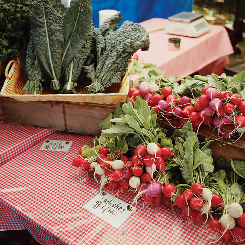 A sampling of goods at Traverse City's well-stocked farmers market, Second Spring Farm. (Photo credit: Second Spring Farm)