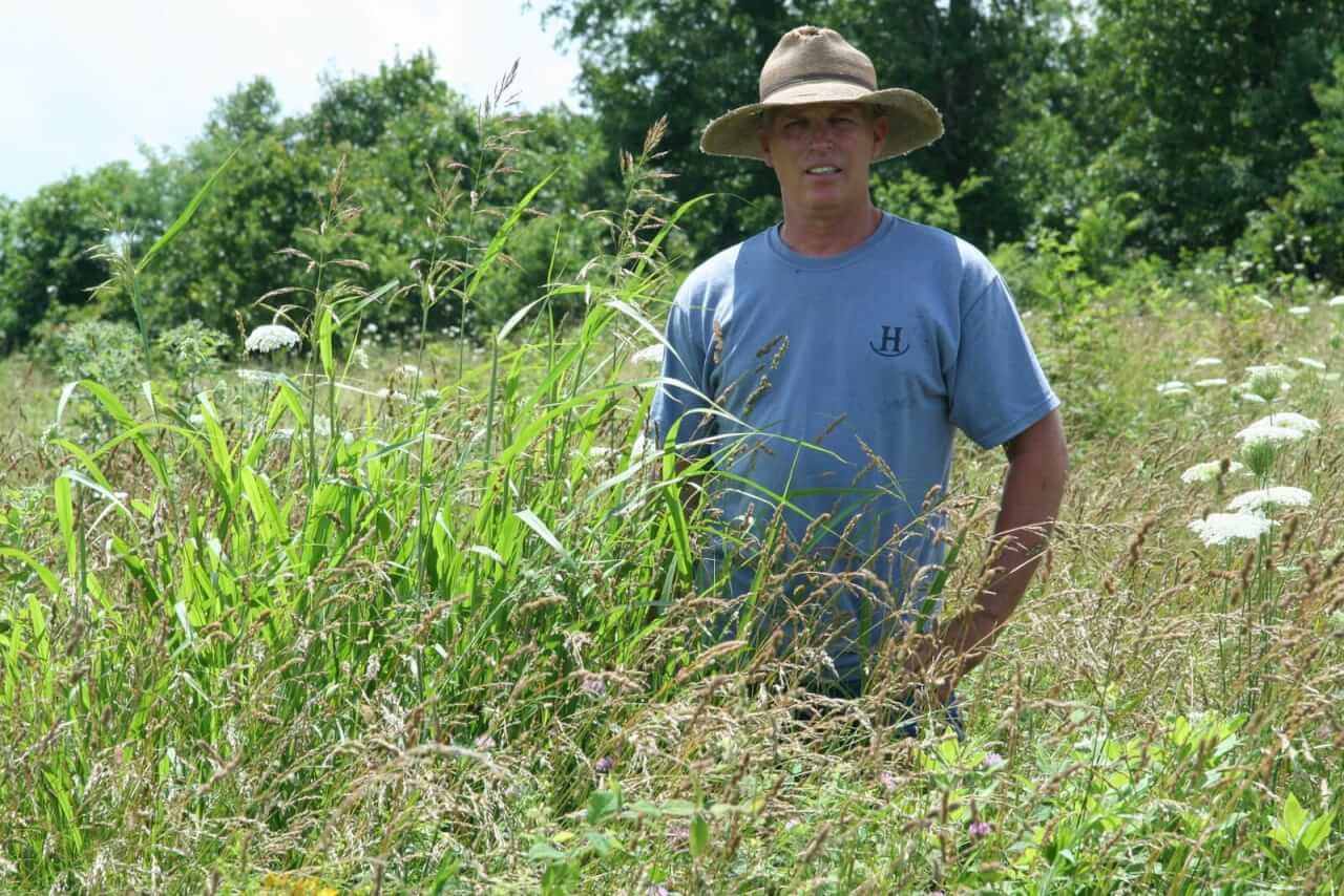 Cody Holmes blogs about holistic farming and has many urban readers.