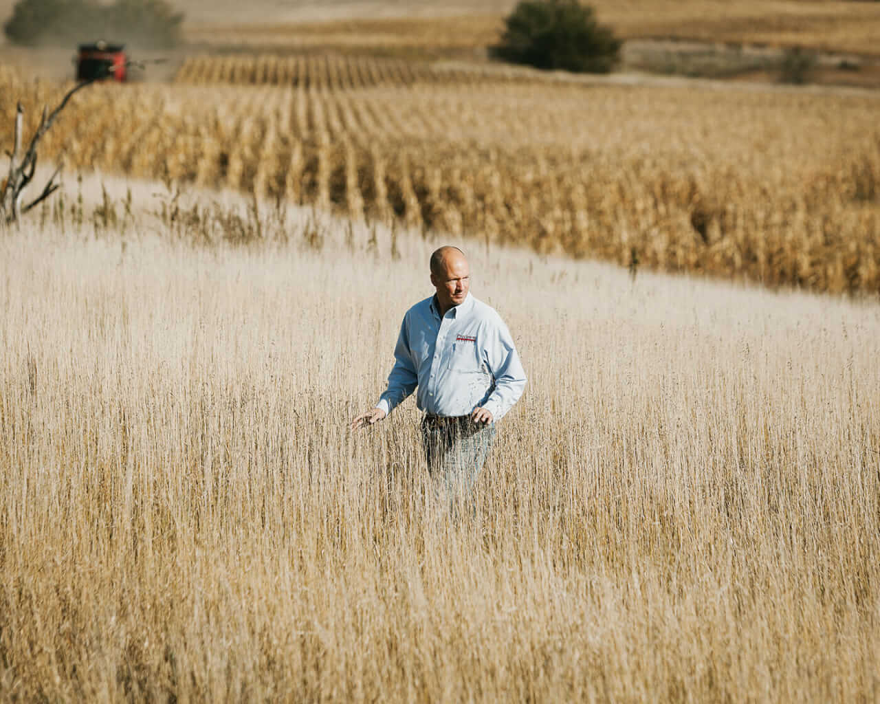 Aaron Bloom, a farmer and business consultant at Huegerich's farm;