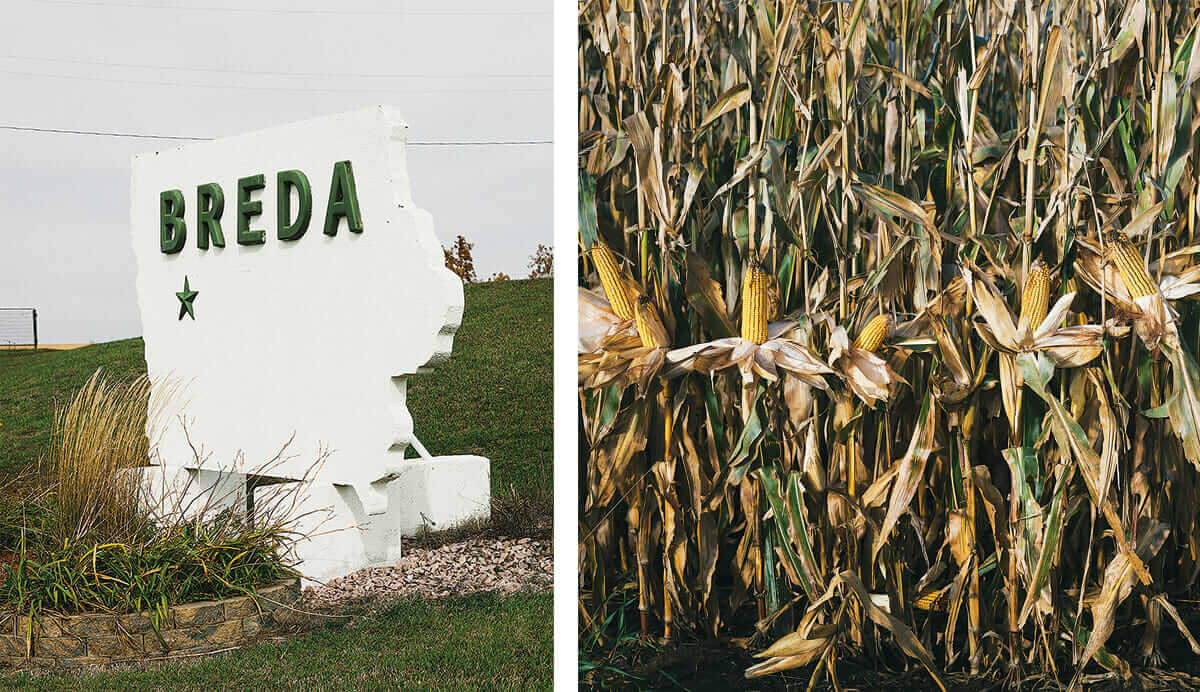 From left: A sign in the town of Breda, Iowa; Non-GMO corn shows its stuff at one of Huegerich's farms.