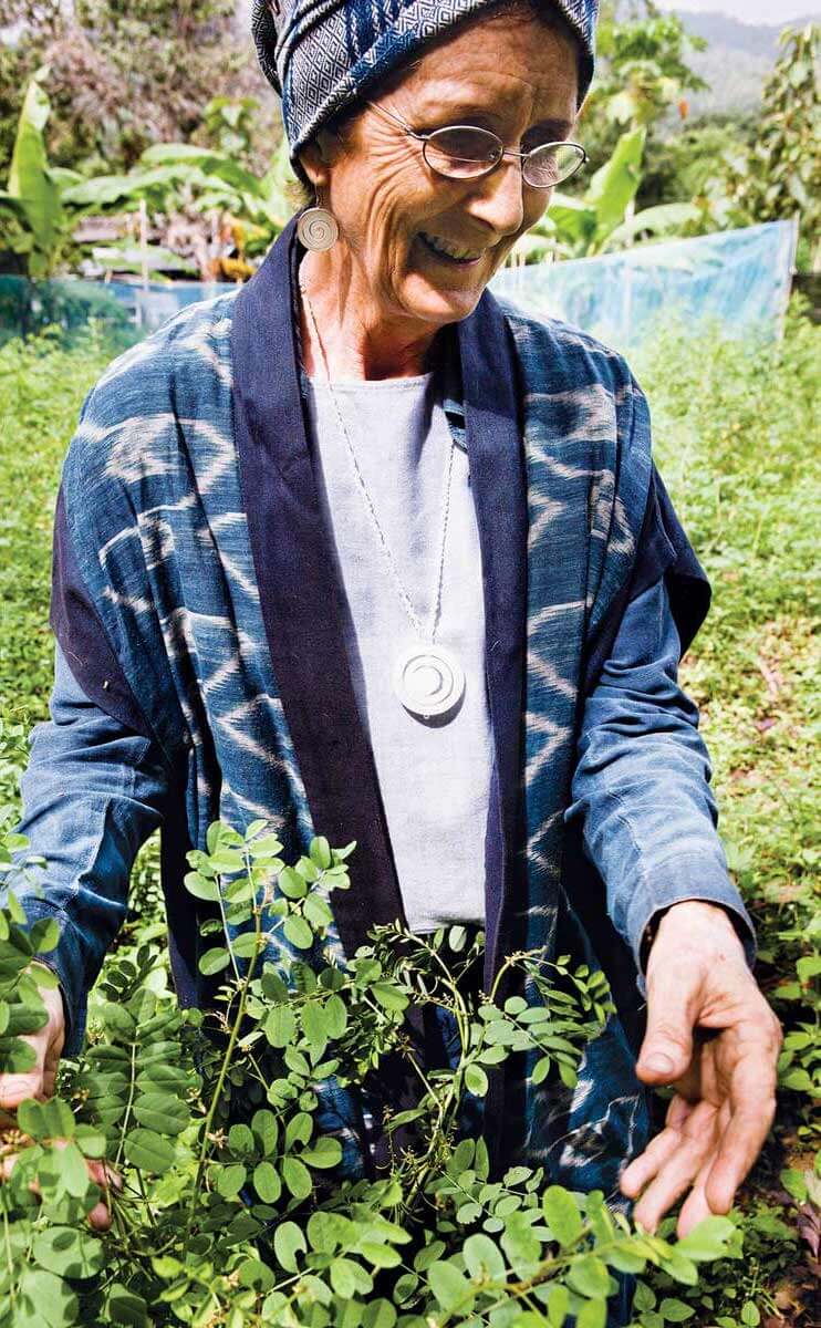 Patricia Cheesman inspecting indigo plants.