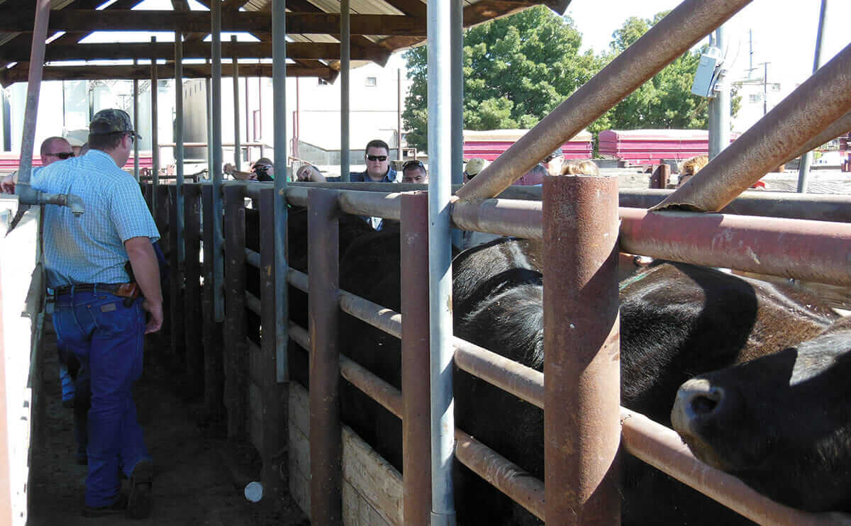 Introduction to Cattle Investigations students learned about animal and brand inspection, how to report the crime and investigative tools.