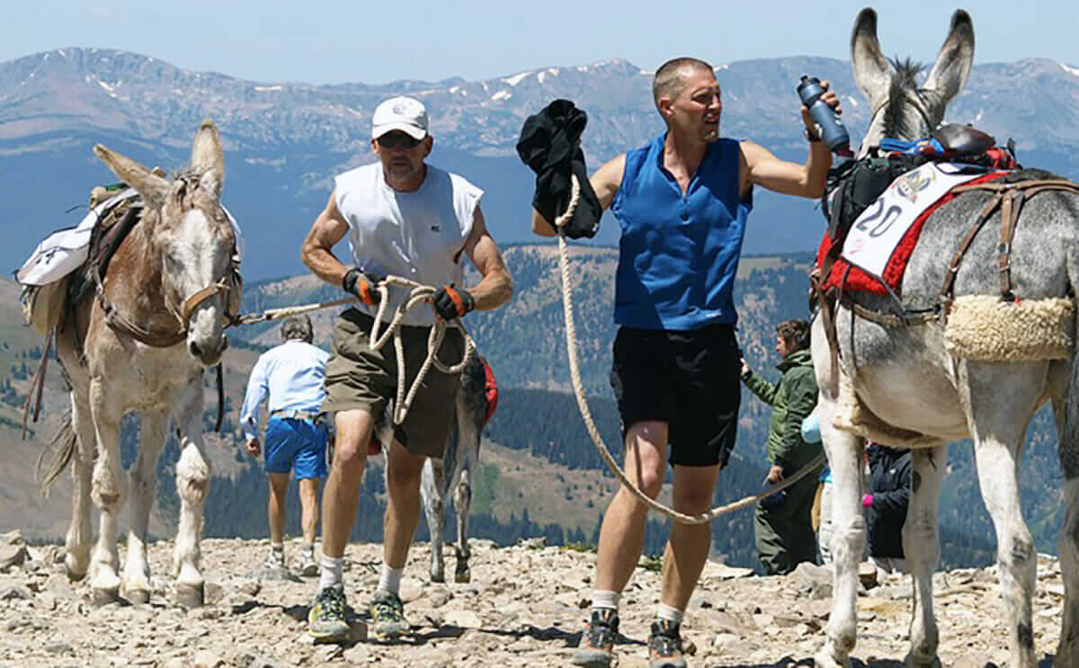 The Mosquito Pass Summit turn-around, at 13,187 feet, photographed by Tim Van Riper.