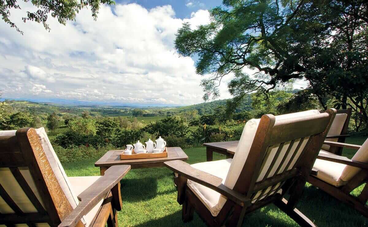 Afternoon tea overlooking the coffee fields at Gibb's Farm.