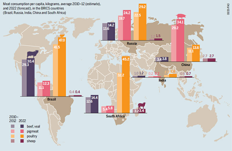 meat consumption developing world