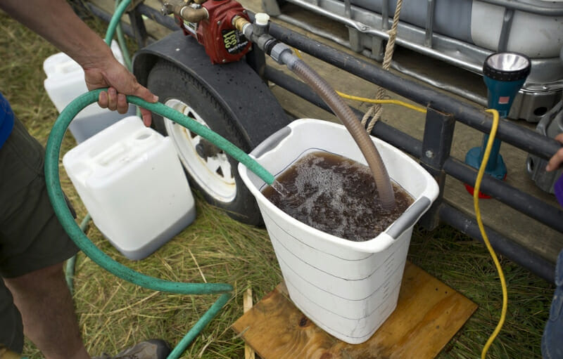 Volunteers find the optimal dilution rates for 2013 field trials.