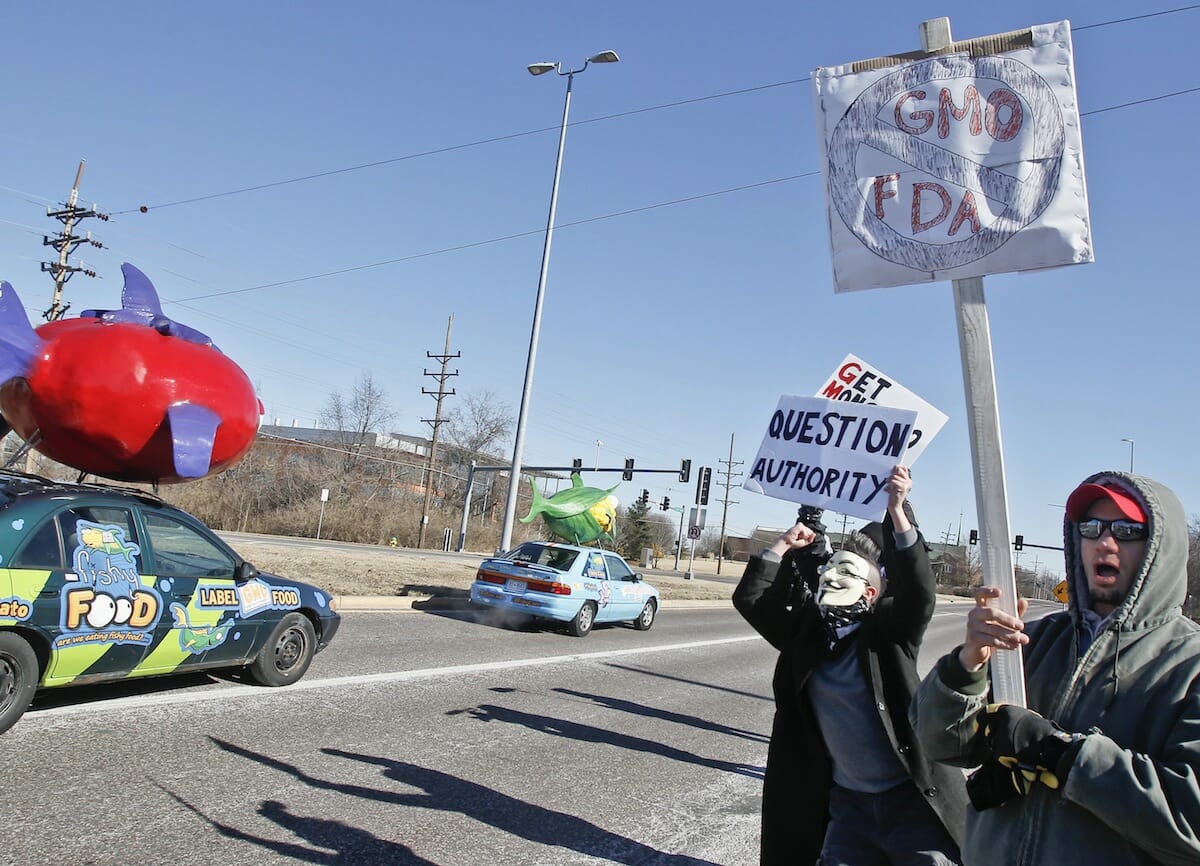 Scenes from a 2014 protest, outside the Monsanto annual shareholder meeting in Creve Coeur, Missouri.