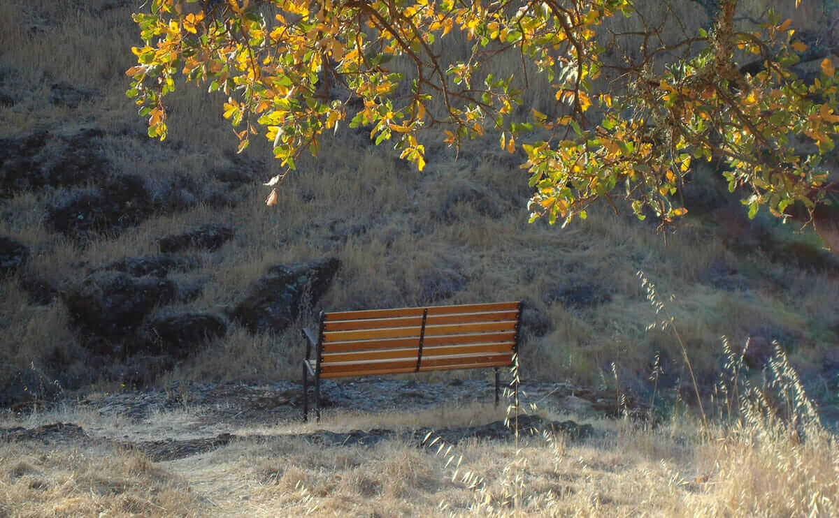 A meditation bench at Sky Farm. / Courtesy Sky Farm