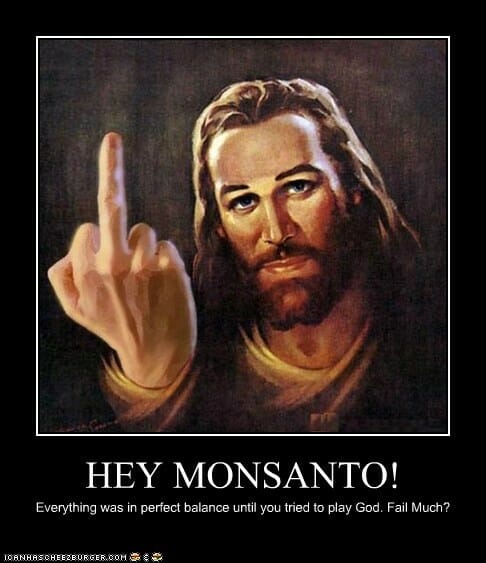 Jesus: not a fan of Monsanto, at least according to Facebook memes.