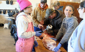 A Visit to a High School Hog Butchering Day - Modern Farmer