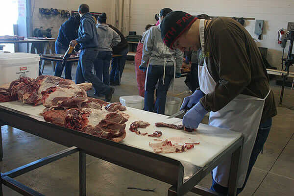 Wesley May, a senior, gives another pass at trimming fat from the cuts before grinding sausage.