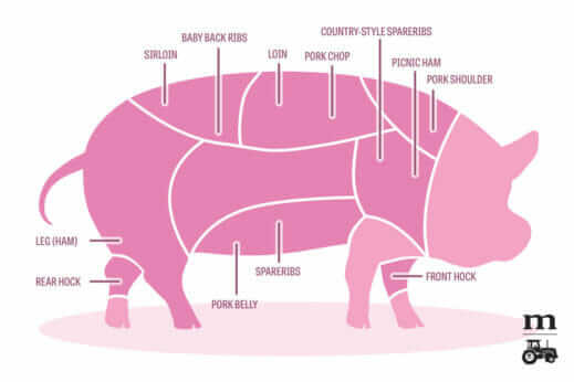 Pork Cuts 101: A Diagram - Modern Farmer