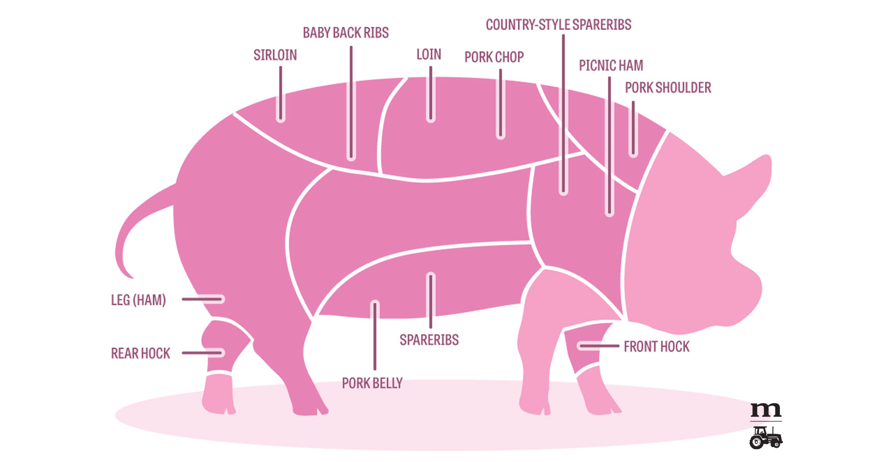 Featured image of post Steps to Prepare Diagram Pork Loin Vs Tenderloin