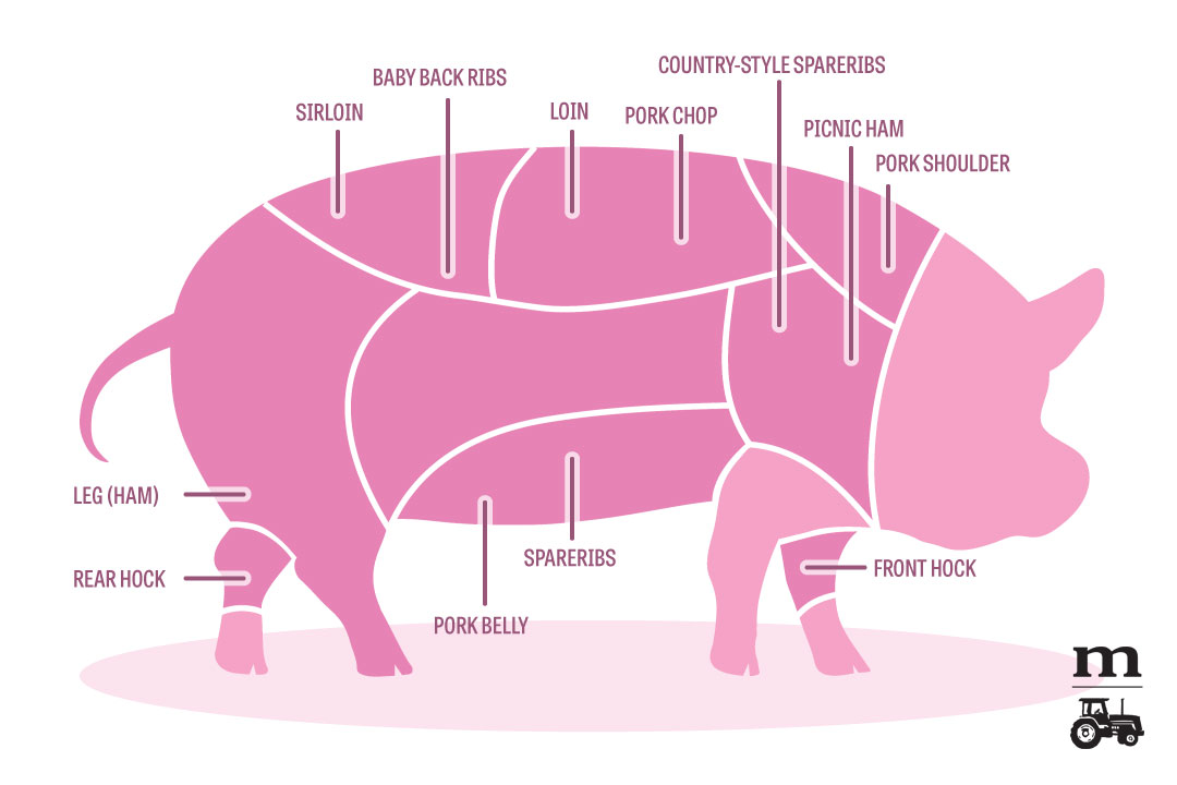 Pork Cuts 101: A Diagram - Modern Farmer