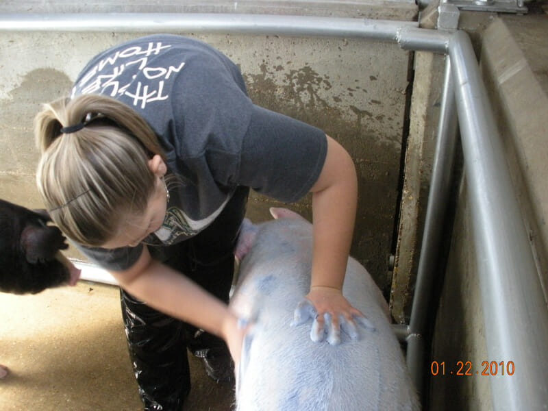 Pasqua bathes her pig. / Photos courtesy Ashley Pasqua