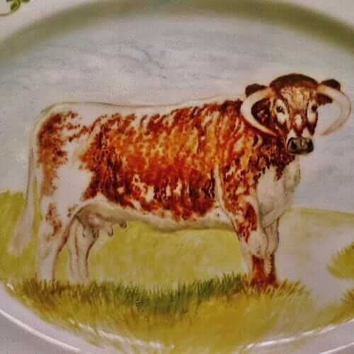 An English Longhorn by Margaret Taylor