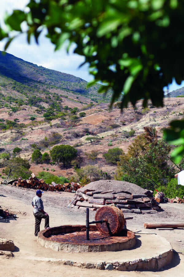 Alejandro Champion, director of Mezcal UniÁ³n, and friends partake of his product while out on a stroll in the mountains.